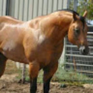 Meet your Posher, Alfonso